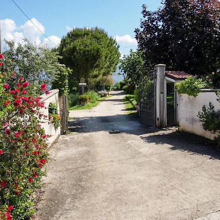 La Staccionata Villa Arpino Eksteriør billede