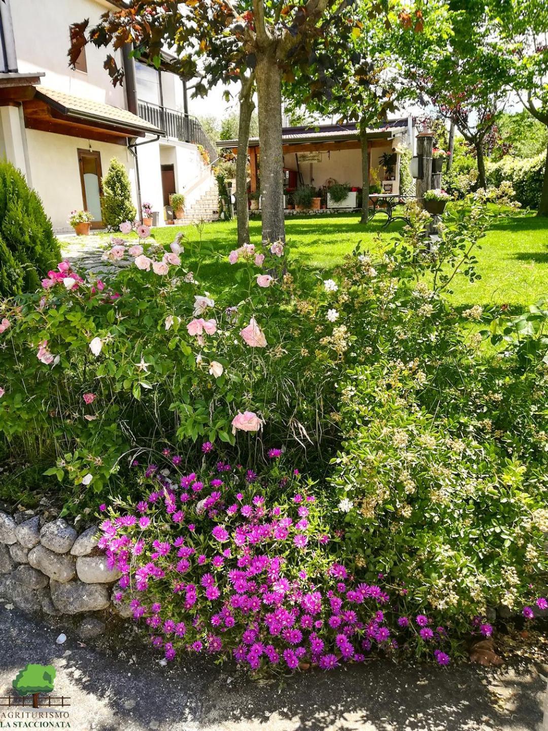 La Staccionata Villa Arpino Eksteriør billede